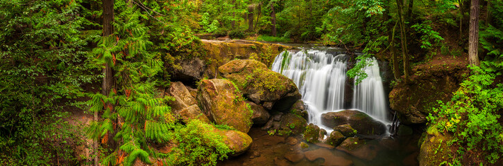 Whatcom Falls, Bellingham, Washington. A lovely little park on the outskirts of downtown Bellingham, Washington. The falls are on Whatcom Creek, which leads from Lake Whatcom to Bellingham Bay.