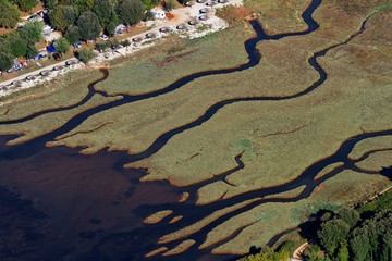 Coastal wetland in Istra, Croatia