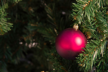 Closeup of red bauble hanging from a decorated Christmas tree.