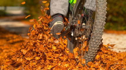 LOW ANGLE: Dry fall colored leaves fly in air as mountain biker rides down road.