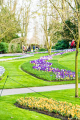 Keukenhof park in Netherlands