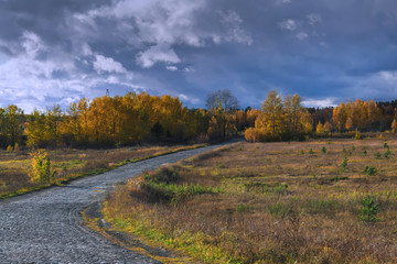 Fototapeta na wymiar Autumn landscape. A cobblestone road in the middle of an autumn forest.