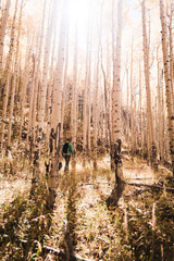 A man and a dog hiking in the autumn woods. 