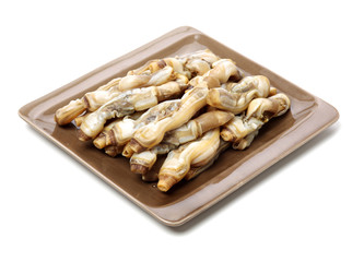 Razor clams isolated on white background.