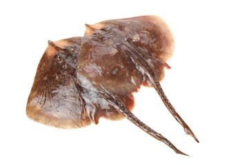 Fresh ray fish isolated on white background