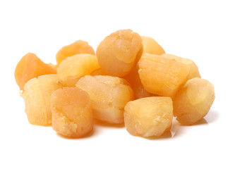 dried scallops on white background