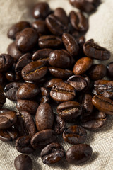 Dry Organic Coffee Beans