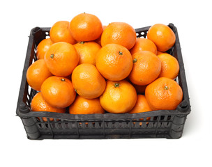 Orange fruit on the white background
