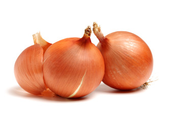 Gold onion vegetable bulbs on white background