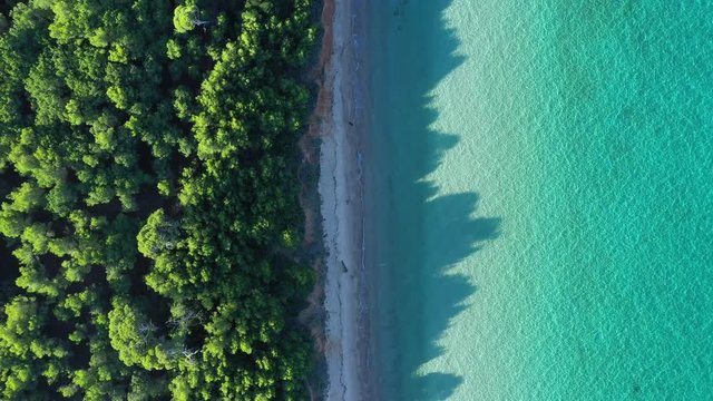 idyllic beach Porquerolles white sand Courtade France aerial top shot pine trees and mediterranean sea turquoise clear water 