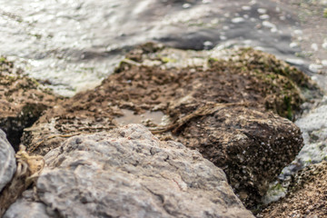 close up shoot to big solid stones near sea with moss on it
