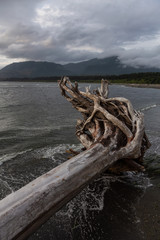 Beautiful View of a beach in a small town during a cloudy summer sunset. Taken at Port Renfrew, Vancouver Island, BC, Canada.