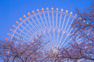 満開の桜と横浜の街並み