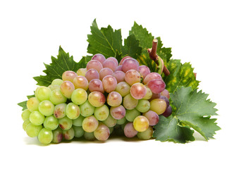 Grapes on white background 