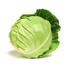 Fototapeta premium cabbage on white background