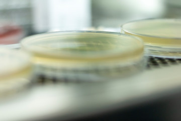 Materiales en el Laboratorio de Microbiologia