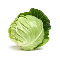 cabbage on white background