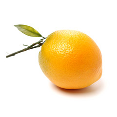 Orange fruit on the white background