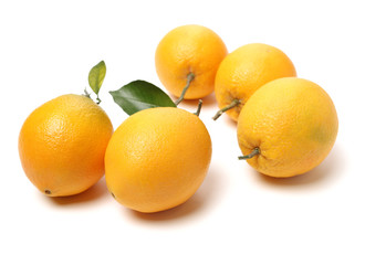 Orange fruit on the white background