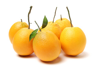 Orange fruit on the white background