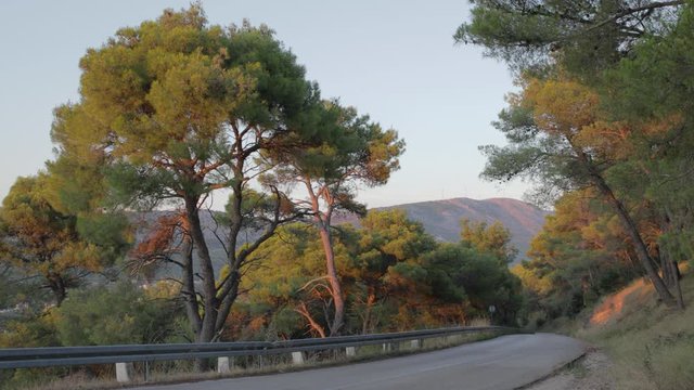 Pan of a desolate mountain road in Grebastica Croatia, with the sun beaming through the trees.