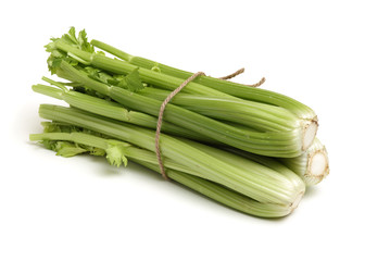 celery on a white background