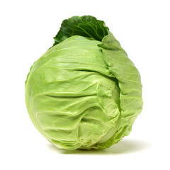 Fototapeta premium cabbage on white background
