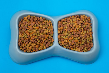 Croquetas para perro en recipiente con fondo azul