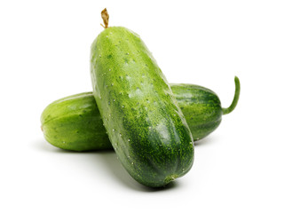 Green cucumber on the white background