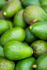 fresh green avocado from garden