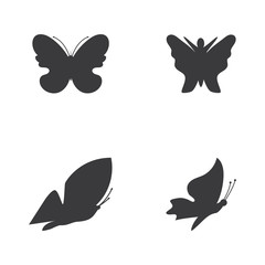 Vector - Butterfly conceptual simple, colorful icon. Logo. Vector