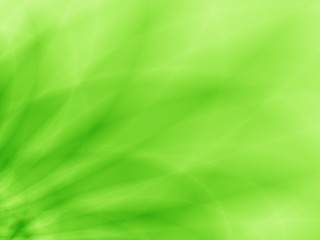 Green leaf eco abstract nature background