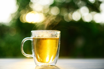The transparent tea cup is made of double-layer heat-resistant glass for hot tea. The green background is a garden and has bokeh.
