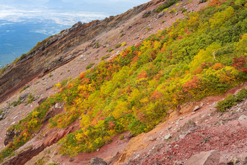 岩手山馬返登山道の紅葉