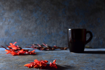 Artistic still life of object in gloom. Gloomy atmosphere in shades of blue, black cup out of focus, red flowers in the foreground focused. Natural daylight, seeps in the background.