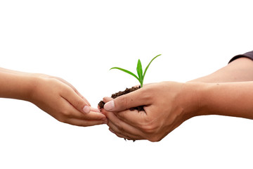 Hands of child and father holding green plant seedling with black fertile soil. Concept of care and...