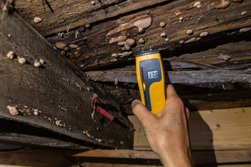Indoor damp & air quality (IAQ) testing. A closeup view of a digital moisture detector showing damp...