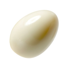 Goose egg on white background