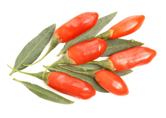 Goji berry isolated on white background