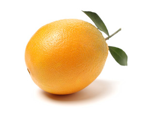 Orange fruit on the white background