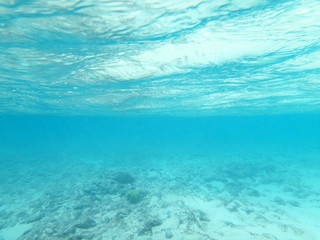 Looking at Seabed and water surface from underwater