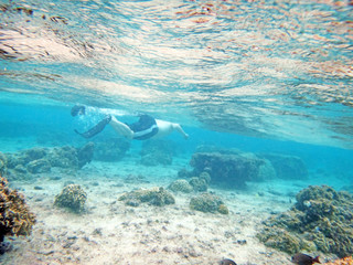 Fototapeta na wymiar Diving on Guam coral reef, coral reef seabed, water surface underwater