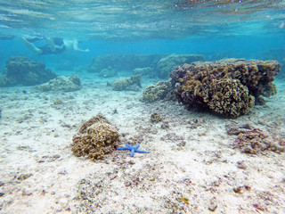 Diving on Guam coral reef, coral reef seabed with blue starfish