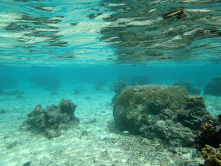 Fototapeta na wymiar Diving on Guam coral reef, coral reef sea bed, water surface underwater