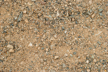 Land on the floor.