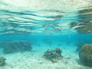 Diving on Guam coral reef, coral reef sea bed, water surface underwater