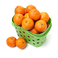 tangerine orange on white background 