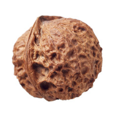walnuts on white background 