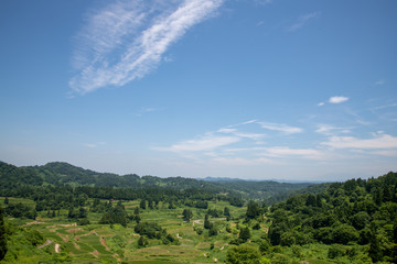 Naklejka premium 星峠の棚田