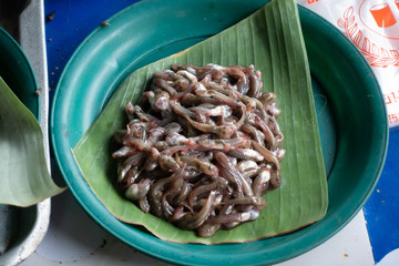 Tadpoles are sold for cooking in local markets in Thailand.